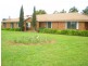 213 East Guyong Road, Orange NSW 2800