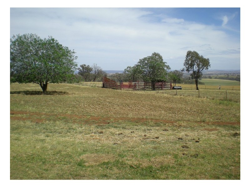 406 Nanami Lane, Orange NSW 2800