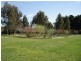 5 Palmer Street, Blayney NSW 2799