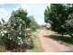 108 Offner Road, Orange NSW 2800