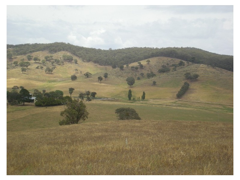 Lewis Ponds Road, Orange NSW 2800