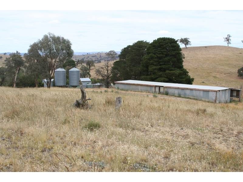 Lewis Ponds Road, Orange NSW 2800