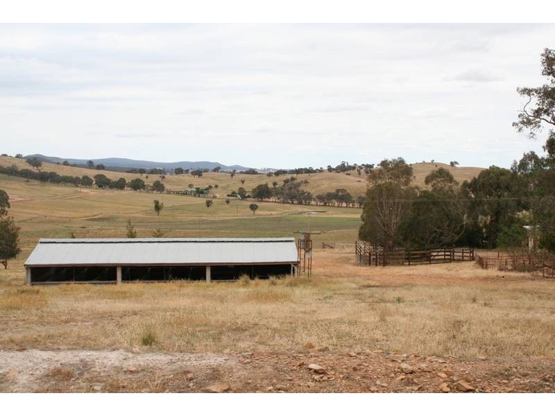 Lewis Ponds Road, Orange NSW 2800