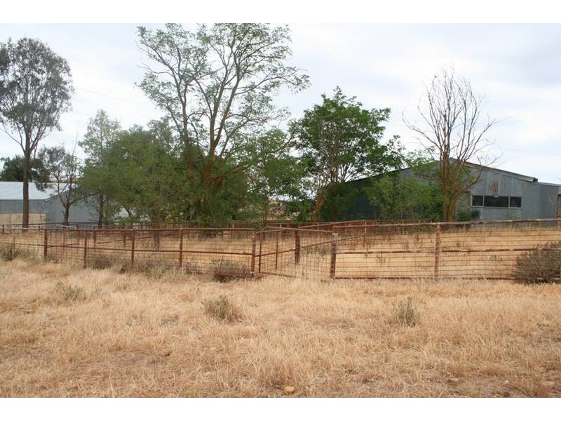 Lewis Ponds Road, Orange NSW 2800