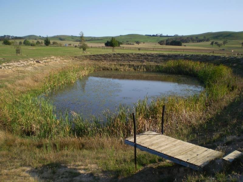 355 Browns Creek Road, Blayney NSW 2799