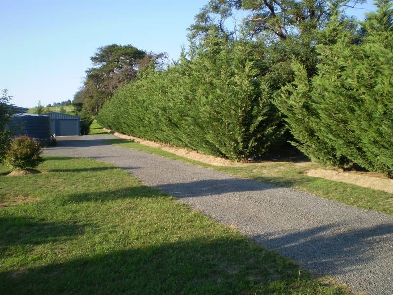 355 Browns Creek Road, Blayney NSW 2799