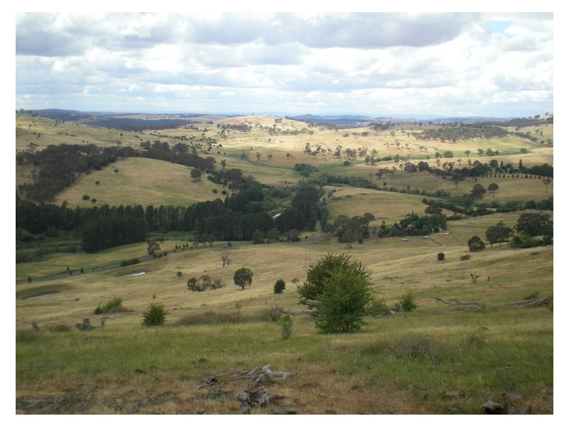 366 Icely Road, Orange NSW 2800