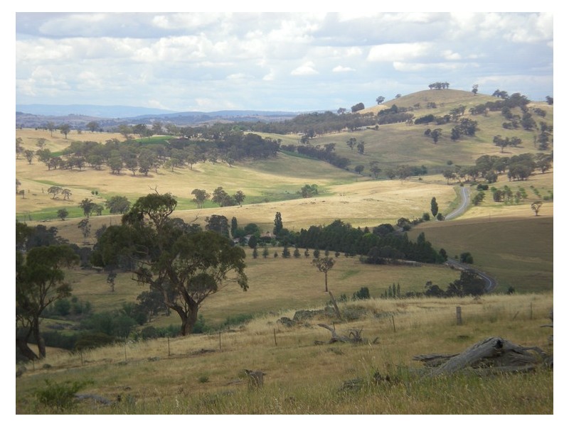 366 Icely Road, Orange NSW 2800