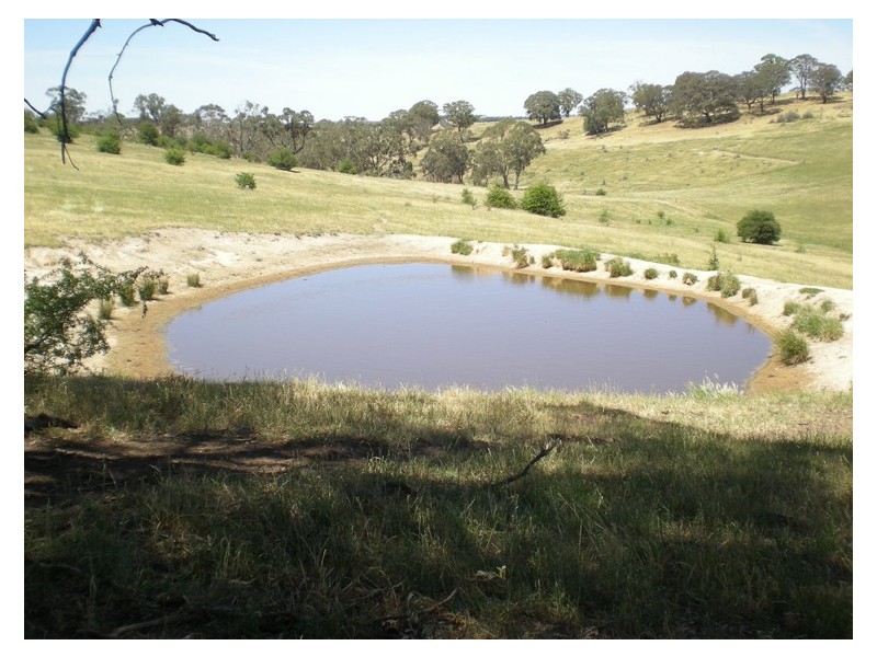 366 Icely Road, Orange NSW 2800