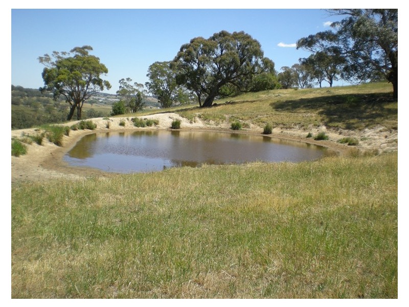 366 Icely Road, Orange NSW 2800