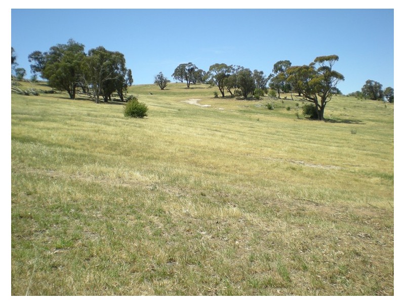 366 Icely Road, Orange NSW 2800