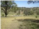 366 Icely Road, Orange NSW 2800