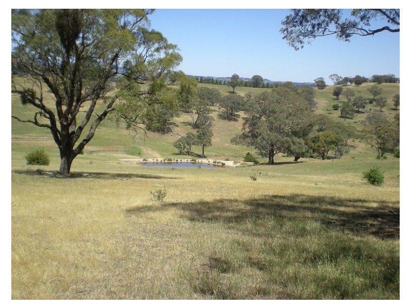 366 Icely Road, Orange NSW 2800