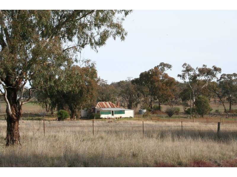 42 Orange Road, Manildra NSW 2865