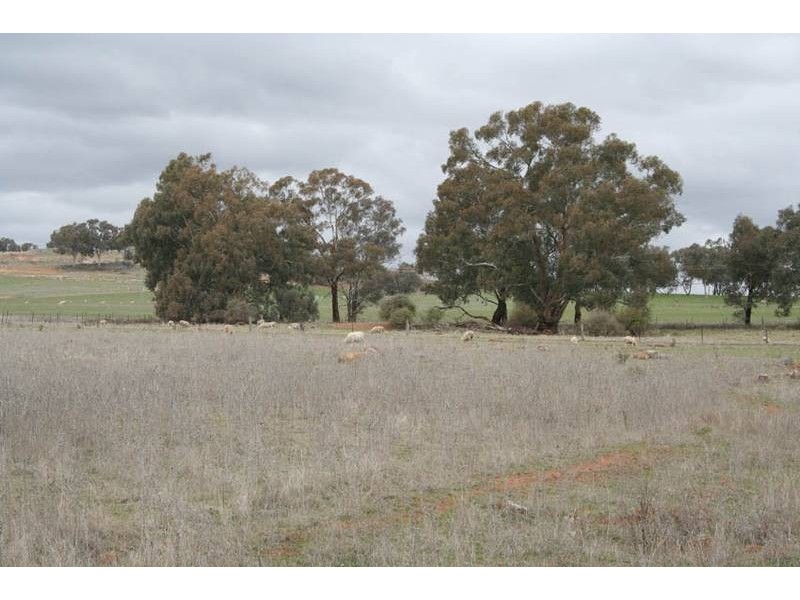 42 Orange Road, Manildra NSW 2865