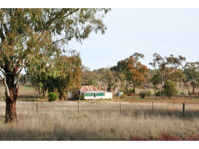 42 Orange Road, Manildra NSW 2865