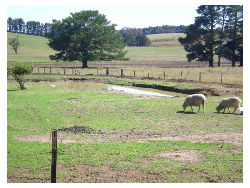 274 Leeds Parade, Orange NSW 2800
