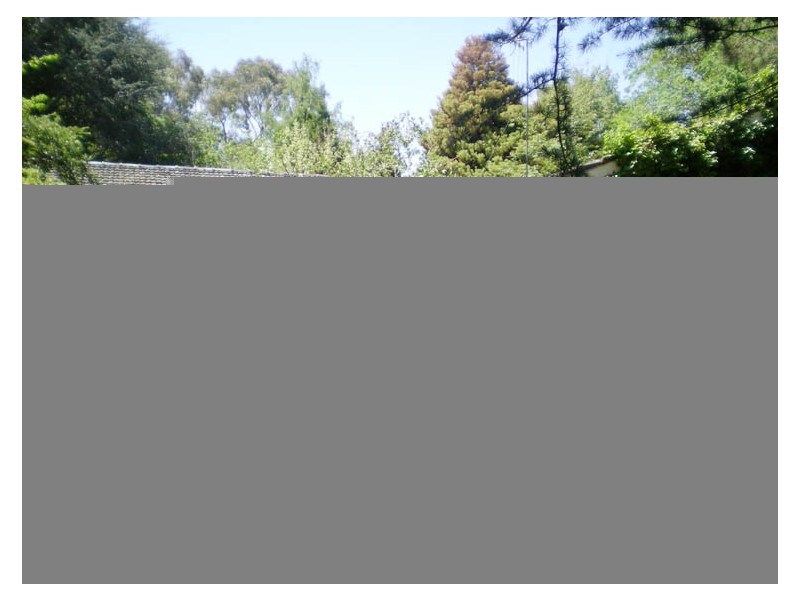 76 Forbes Road, Orange NSW 2800
