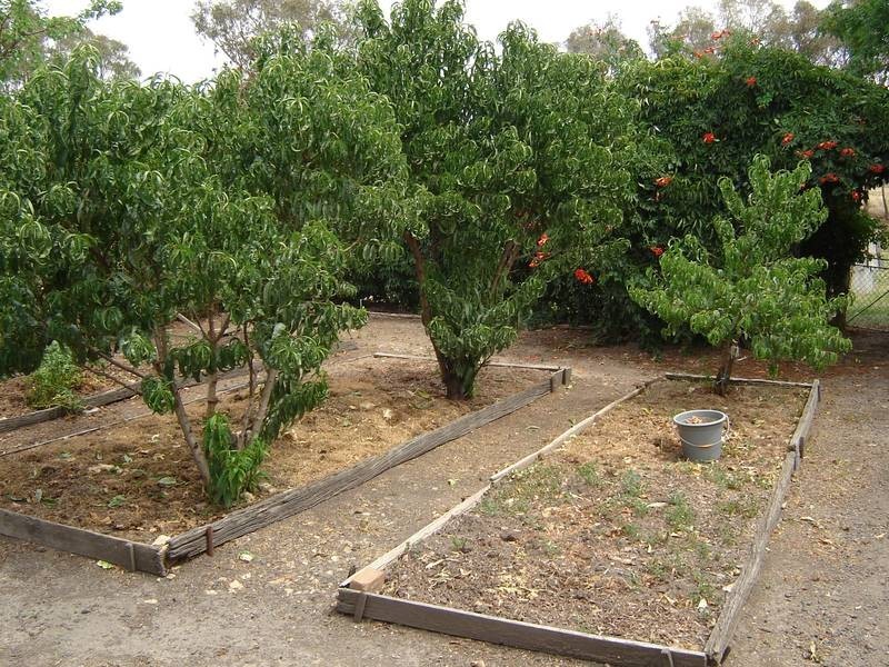 6424 Mid Western Hwy, Lyndhurst NSW 2350