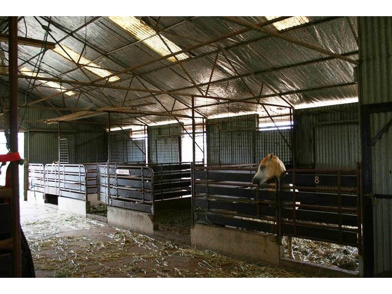 Lot 7 Canowindra Road, Cudal NSW 2864