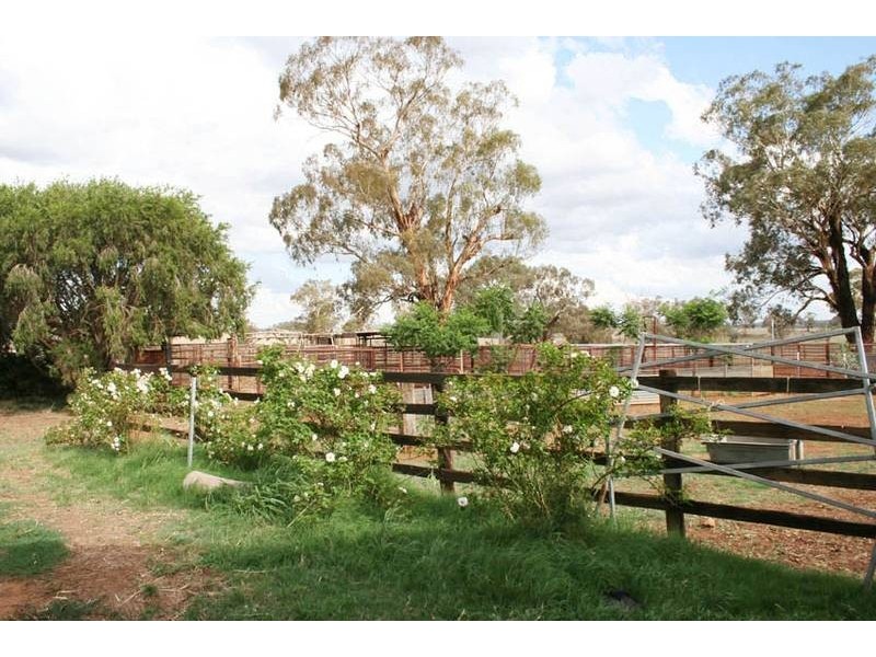 Lot 7 Canowindra Road, Cudal NSW 2864
