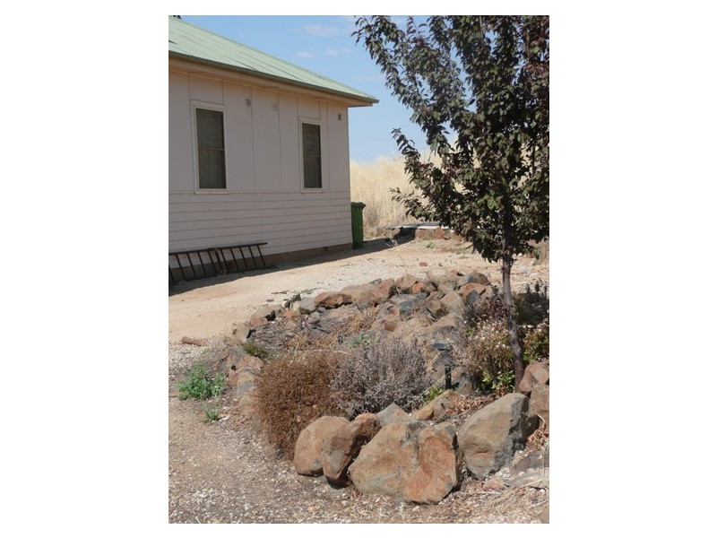 2405 Mitchell Highway, Molong NSW 2866