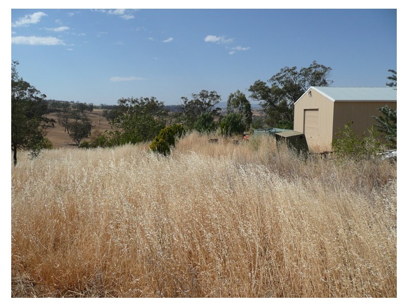 2405 Mitchell Highway, Molong NSW 2866