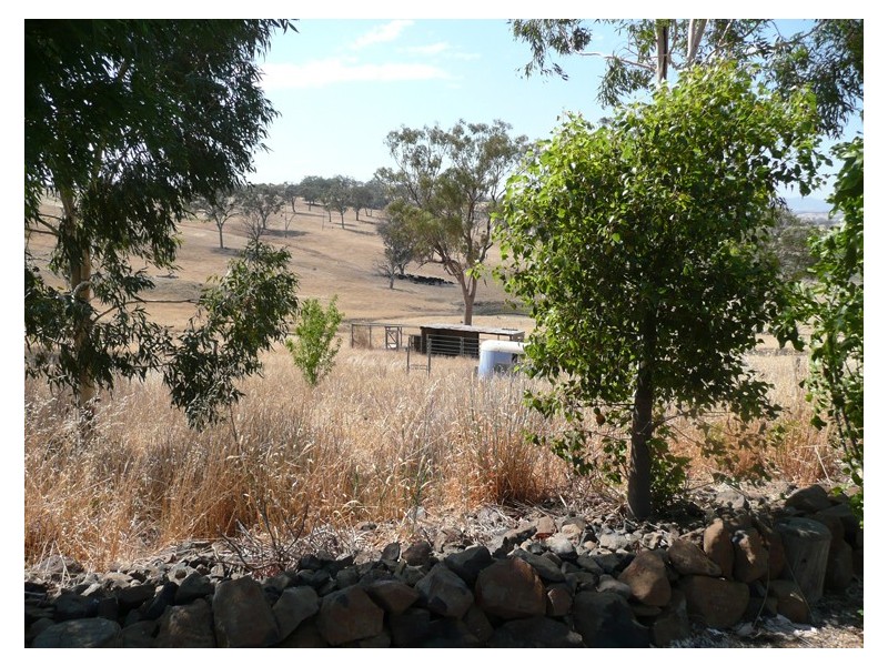 2405 Mitchell Highway, Molong NSW 2866