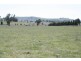 Lot 4 Part Buckinbah Beaumah Road, Spring Hill NSW 2800