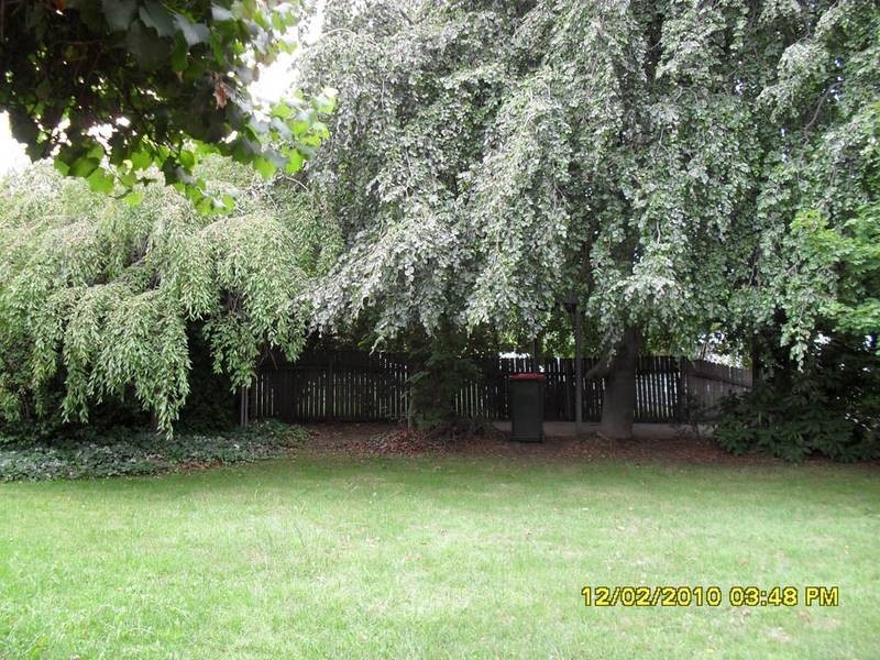 11 Summer Street, Orange NSW 2800