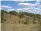 1217 Bundalah Road, Orange NSW 2800