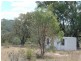 1217 Bundalah Road, Orange NSW 2800