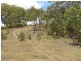 1217 Bundalah Road, Orange NSW 2800