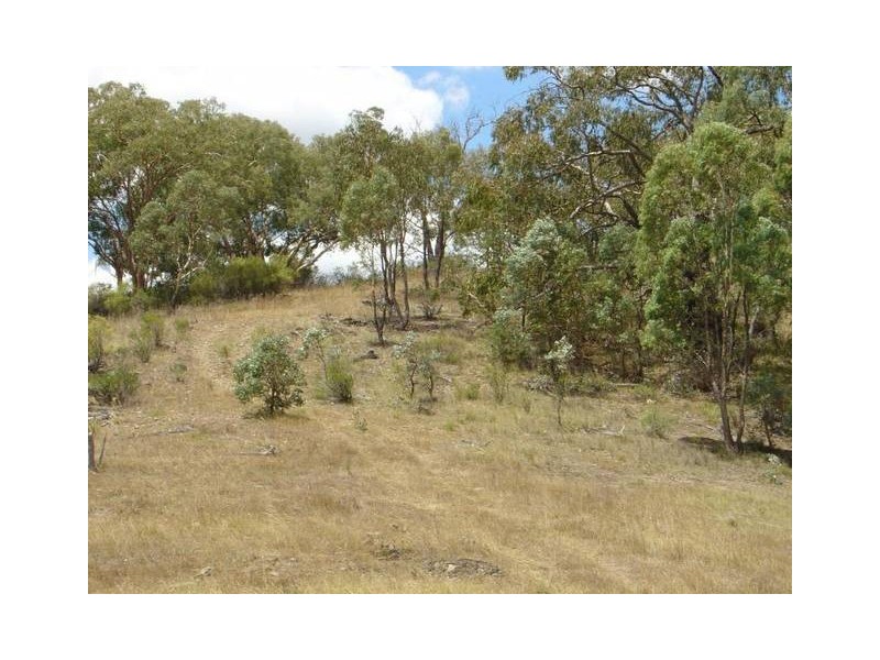 1217 Bundalah Road, Orange NSW 2800