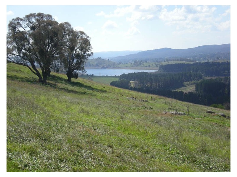 470 Icely Road, Orange NSW 2800