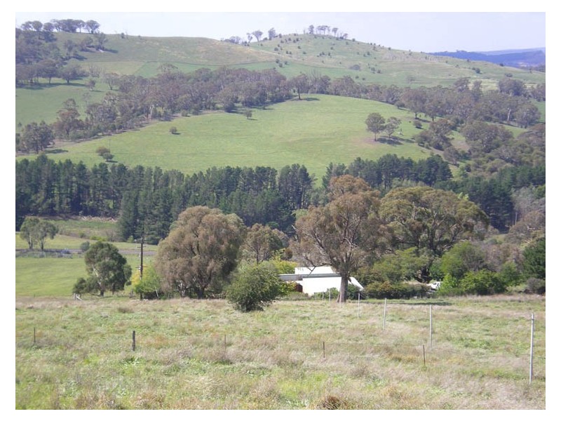 470 Icely Road, Orange NSW 2800
