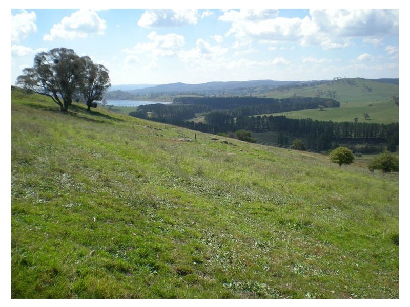 470 Icely Road, Orange NSW 2800