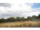 Lot 9,  Piggott Place, Blayney NSW 2799