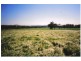 Curra Creek Road, Molong NSW 2866
