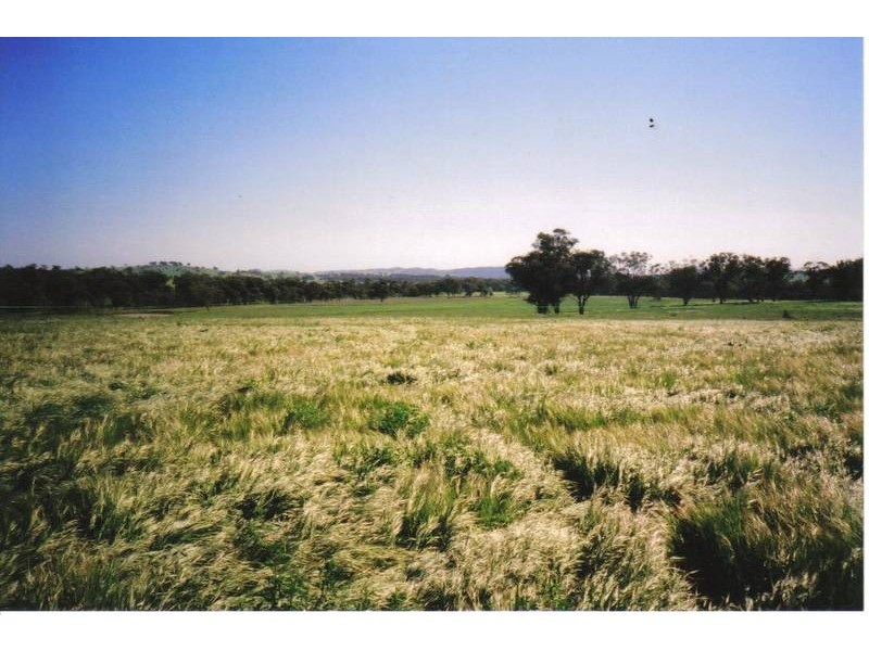 Curra Creek Road, Molong NSW 2866