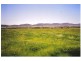 Curra Creek Road, Molong NSW 2866