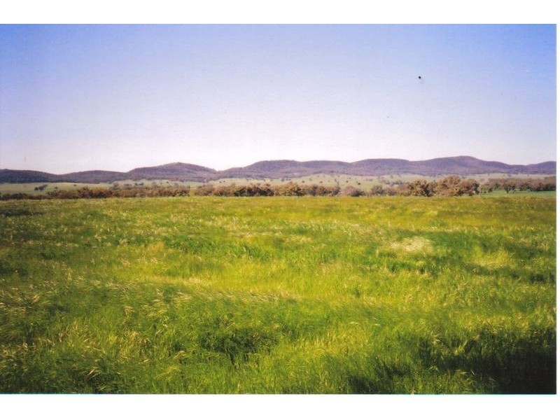 Curra Creek Road, Molong NSW 2866