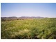 Curra Creek Road, Molong NSW 2866