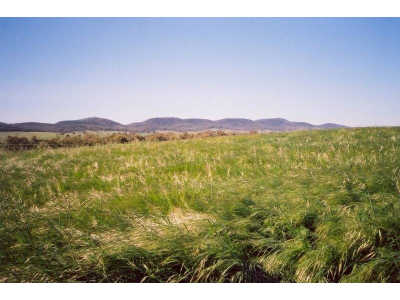 Curra Creek Road, Molong NSW 2866
