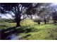 Curra Creek Road, Molong NSW 2866