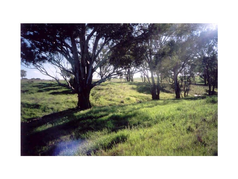 Curra Creek Road, Molong NSW 2866