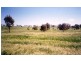 Curra Creek Road, Molong NSW 2866