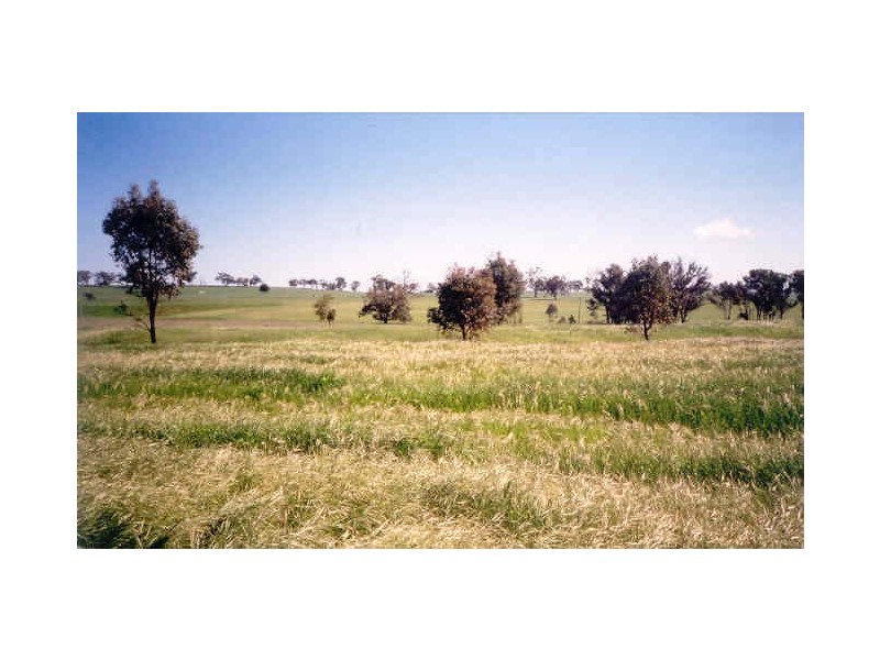 Curra Creek Road, Molong NSW 2866