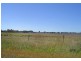1007 Davys Plain Road, Cudal NSW 2864