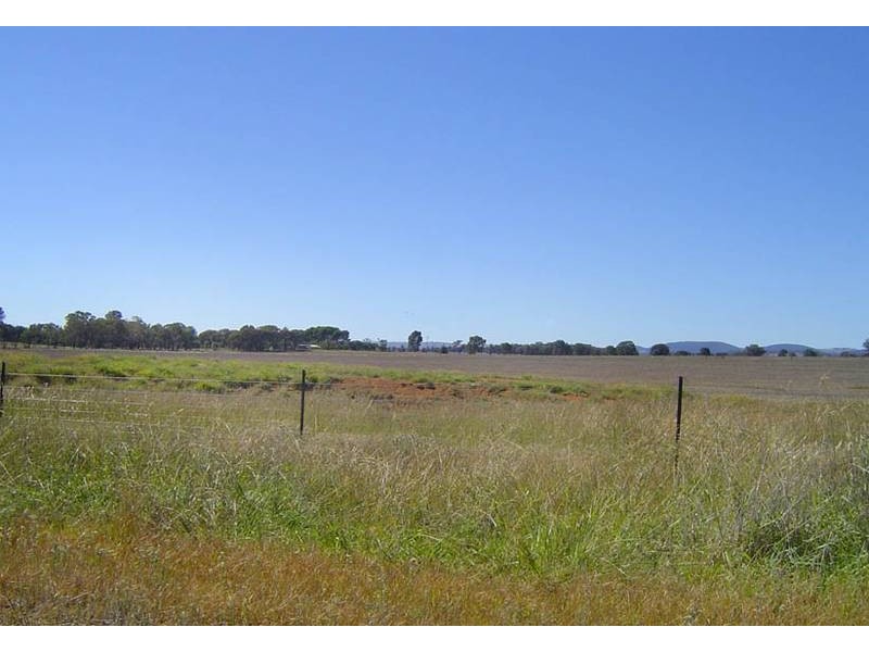 1007 Davys Plain Road, Cudal NSW 2864